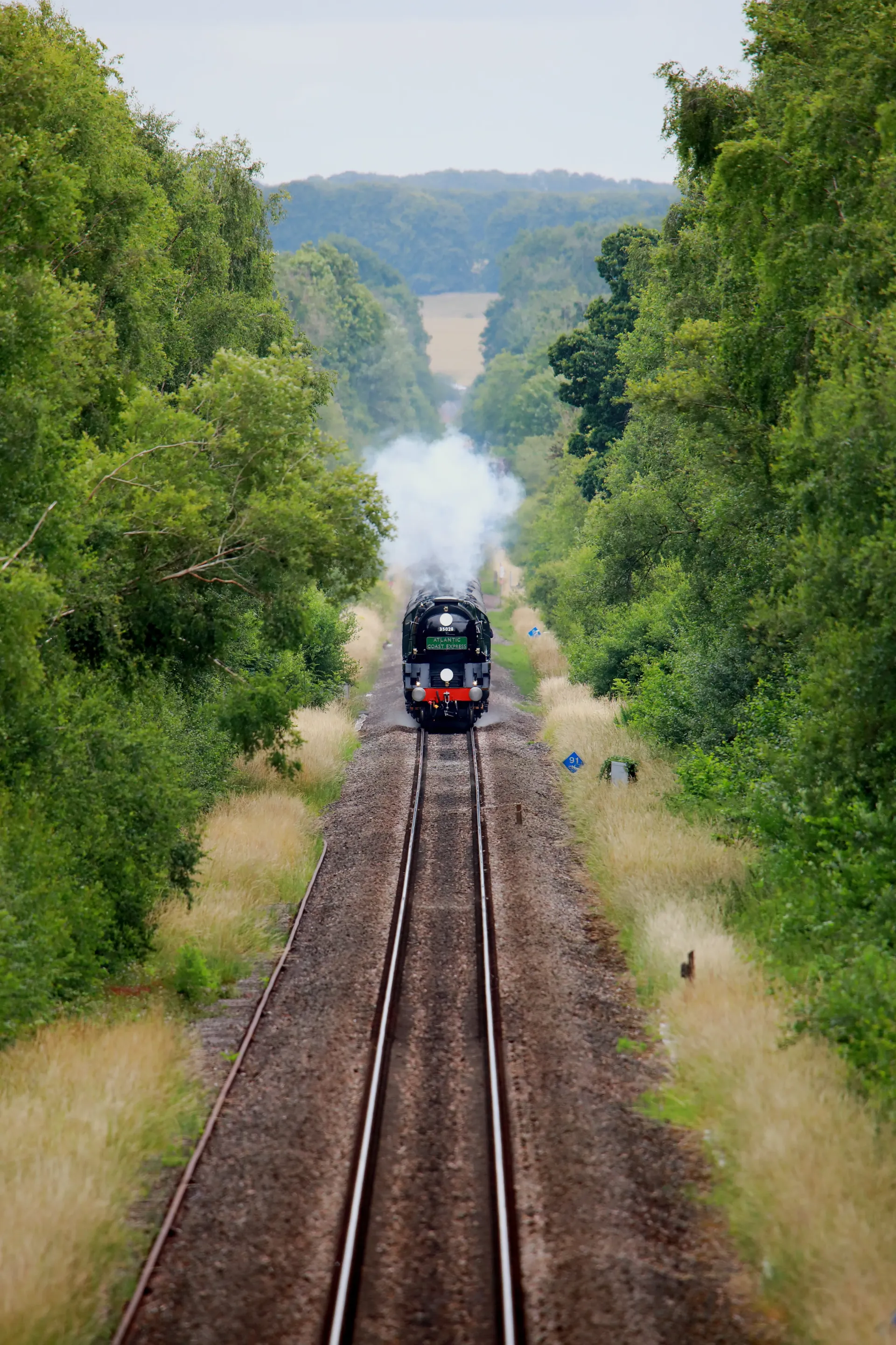 Home Page Background